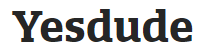 Yesdude Software Services